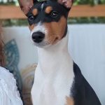 0-02-05-686897c9694d59a82f33ba196174a8e272d79bd35dd3ef5397e43e1f30c37bf8_26d98d9ad7e72e21